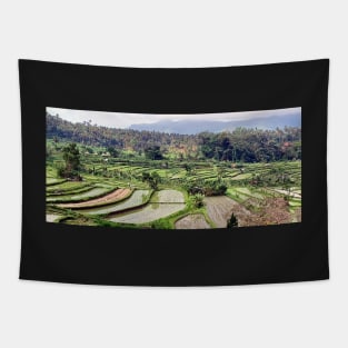 Rice fields, Amlapura, Bali, Indonesia Tapestry