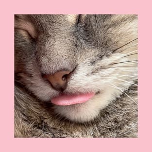 Grey Cat Tongue Blep (gifts) T-Shirt