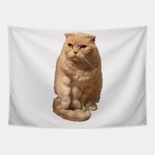 Scottish fold Tapestry