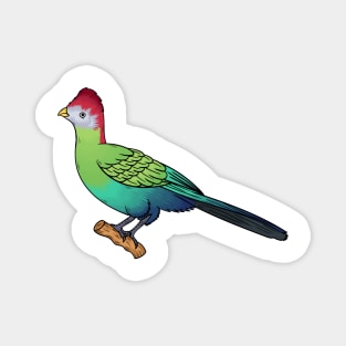 Red-crested turaco bird cartoon illustration Magnet