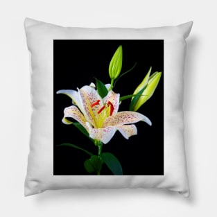 Lovely Sonata Three Stem lily Pillow