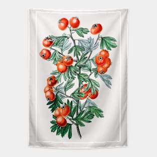 Sweetest-scented hawthorn flower branch Tapestry