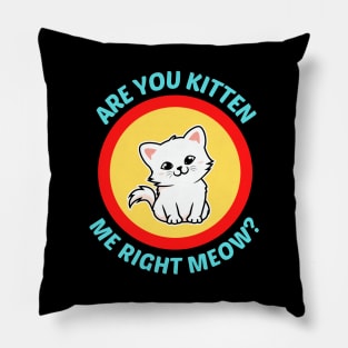 Are You Kitten Me Right Meow Pillow