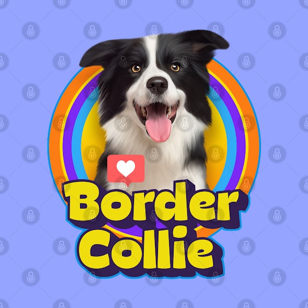 Border Collie by Puppy & cute