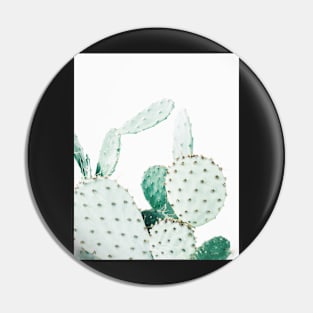 Cacti, Cactus, Cacti print, Cactus art, Desert, Nature, plant, Minimalist, Modern Pin