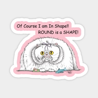 Round is a Shape Magnet