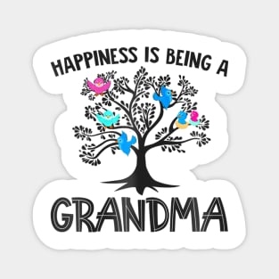 Mothers Day  Birds Happiness Is Being A Grandma Magnet