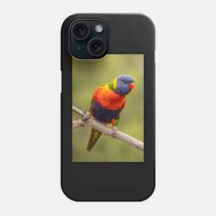 Rainbow Lorikeet Phone Case