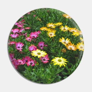 Yellow and pink flowers Pin