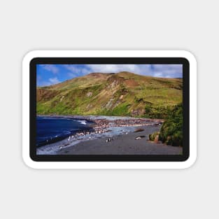 Macquarie Island Beach Magnet