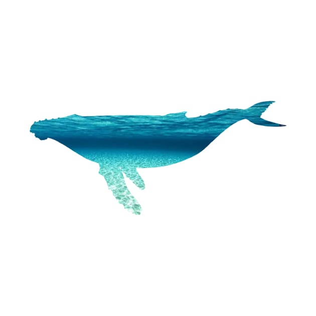 HUMBACK WHALE by Cult Classics