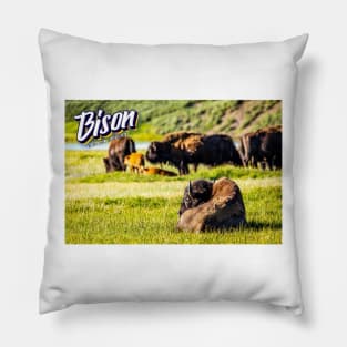 Bison at Yellowstone Pillow