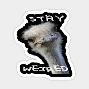 Stay Weird Strange Ostrich Bird Magnet