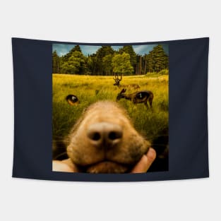 Dog Dream Tapestry