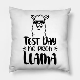 No Probllama Teacher Student Gift Idea Pillow