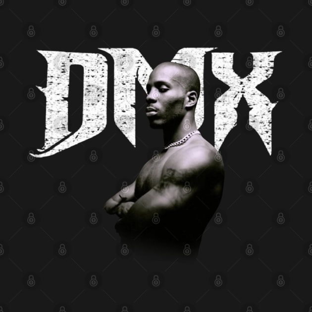 DMX by CustomsbyE