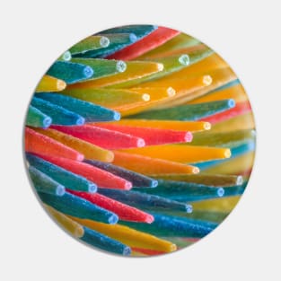 Rainbow Multicolored Toothpicks Macro Photograph Pin