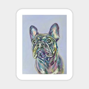 Colourful Frenchie Magnet