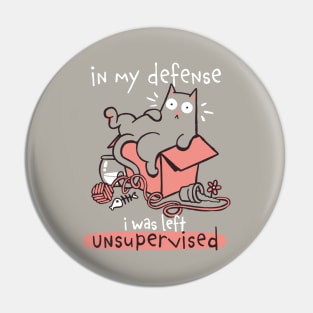 Unsupervised Cat Pin