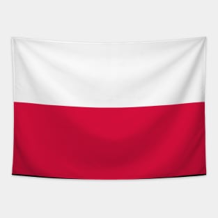 Flag of Poland Tapestry