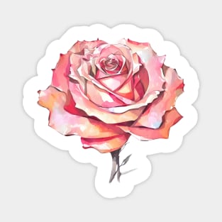 Romantic Orange Pink Hues Isolated Rose Blossom Artistic Watercolor Rose Painting Magnet