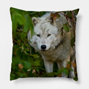 Arctic Wolf Pillow