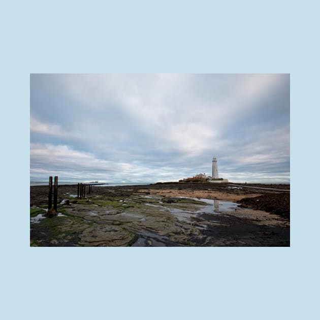 St Mary's Island reflections by Violaman