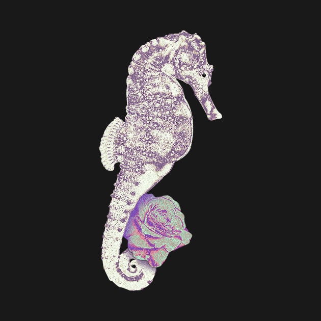 seahorse by abdoos