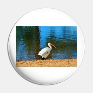 White Ibis Pin