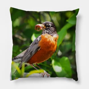 American Robin Carrying Some Fresh Worms Pillow