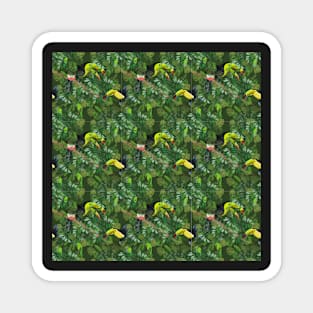 jungle life, toekan birds Magnet