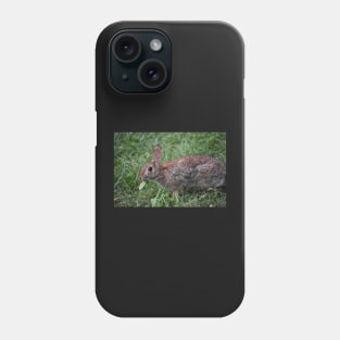 Eastern Cottontail eating Phone Case