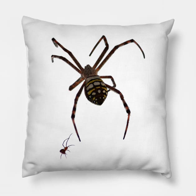 Spider Pillow by alsoCAN