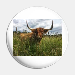 Scottish Highland Cattle Cow 2040 Pin