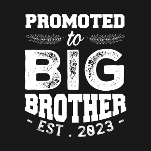 Promoted To Big Brother Sibling Pregnancy Announcement T-Shirt