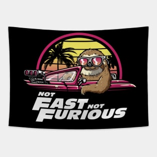 Not Fast Not Furious Tapestry