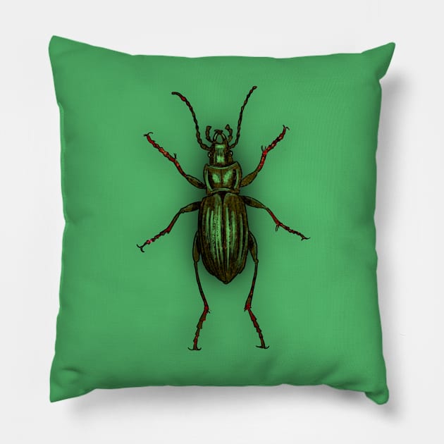 Bugs-7 Carabus Auratus Pillow by Komigato