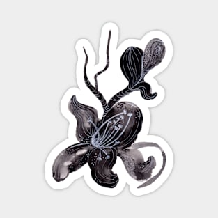 black Orchid Magnet