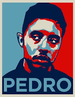 Vote Pedro Magnet