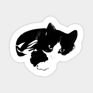 black and white cat Magnet