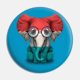 Baby Elephant with Glasses and Luxembourg Flag Pin