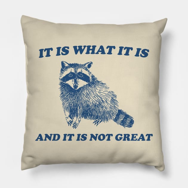 It Is What It Is And It Is Not Great, Funny Sweatshirt, Raccoon Sweatshirt, Cartoon Meme Top, Vintage Cartoon Pillow by CamavIngora