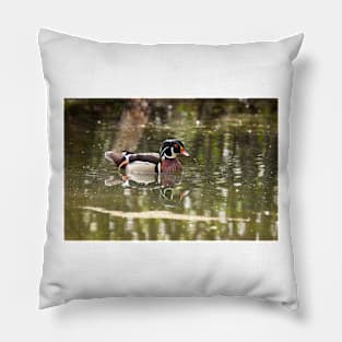 Wood Duck Pillow