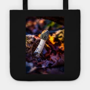 Common Stinkhorn Mushroom Tote