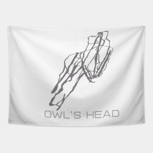 Owl's Head Resort 3D Tapestry