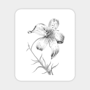 Tiger Lily Magnet