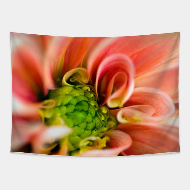 Orange and pink flower Tapestry by JeanKellyPhoto