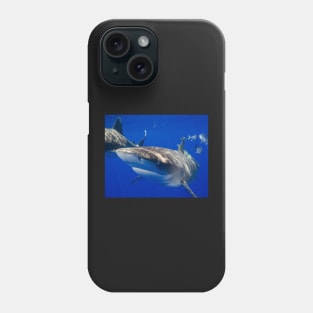 Close Encounter With An Oceanic White Tip Shark Phone Case