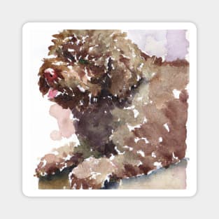 Lagotto Romagnolo Watercolor - Dog Lovers Magnet