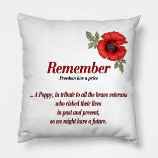Remember Veterans Poppy and Tribute Pillow